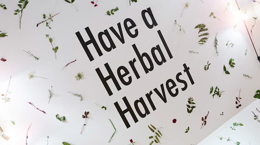 「Have a Herbal Harvest」で目からも楽しむティータイムを