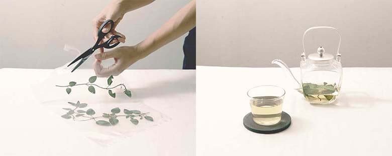 引用元:Have a Herbal Harvest 公式サイト