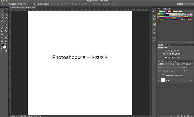 画面全体を表示