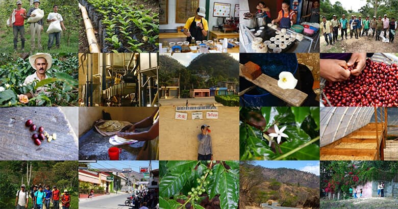 引用元:COFFEE COUNTY 公式サイト