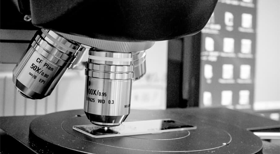 生物から学び技術に活かす「バイオミメティクス」