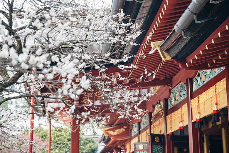 km_dazaihu_ume780