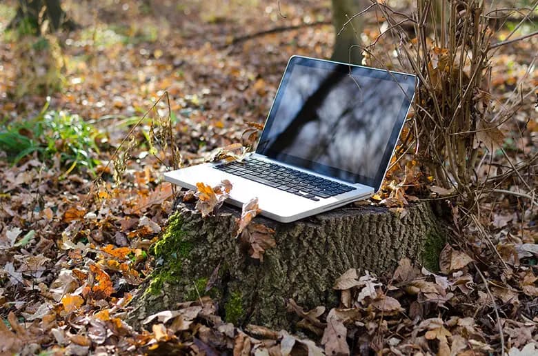 accesbility-inforest780