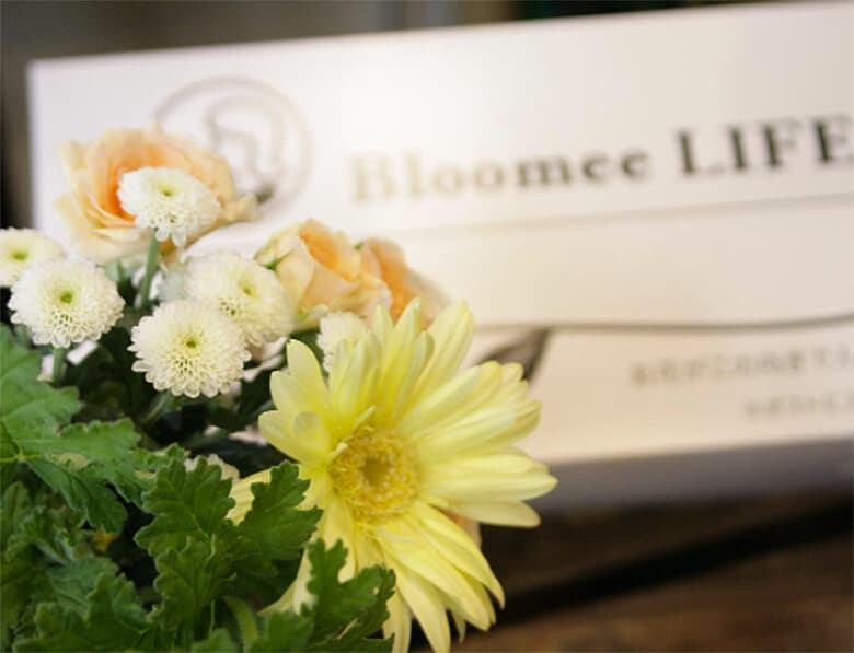 引用元:Bloomee LIFE 公式Instagram
