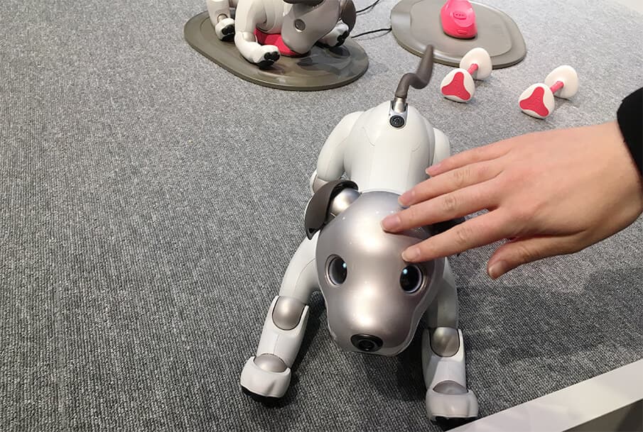 九州唯一の場所、ソニーストア 福岡天神で犬型ロボットaiboと触れ合う