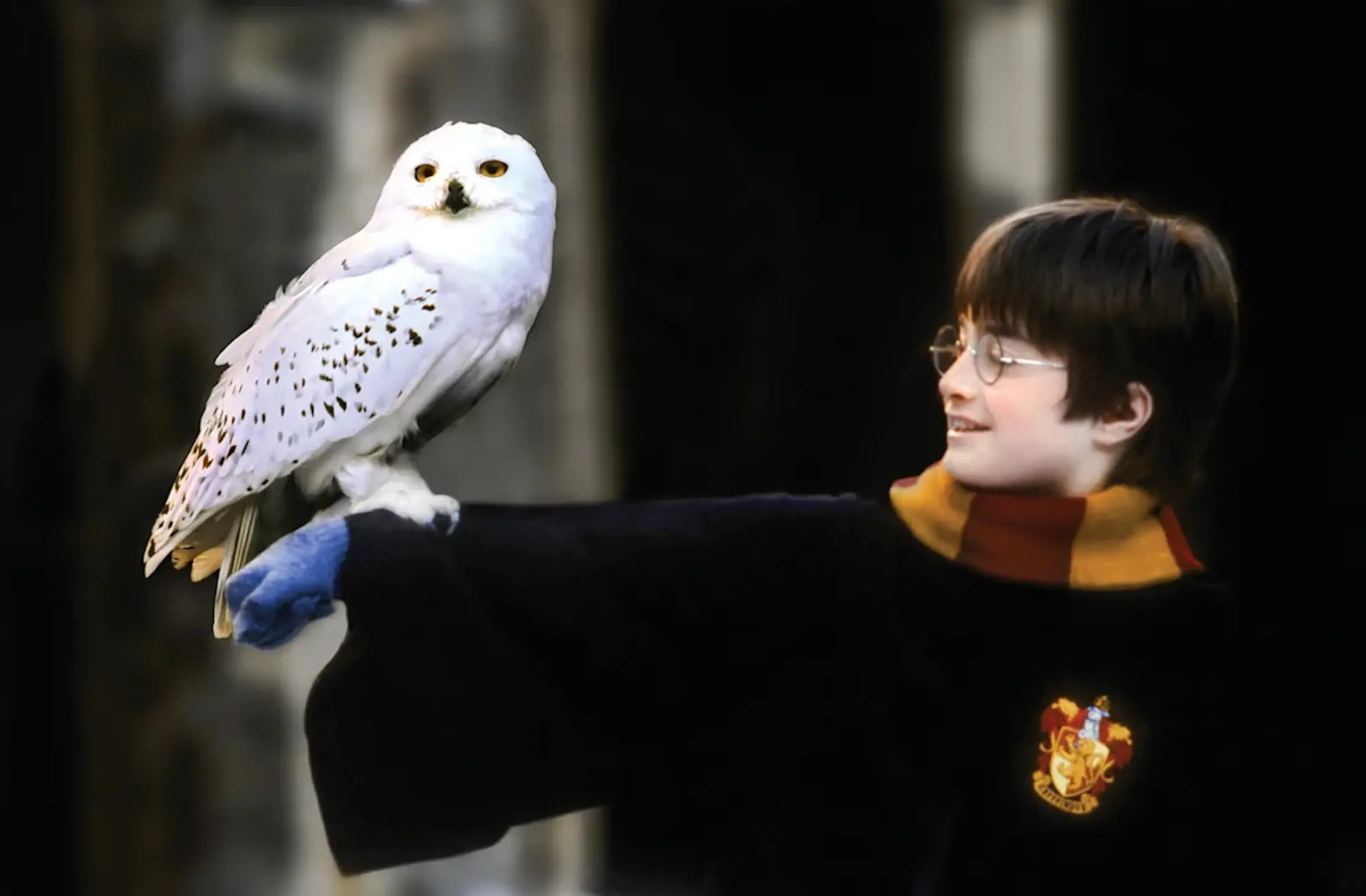 白いふくろうのヘドウィグを腕に乗せて微笑むハリー・ポッター。物語のリアリティを支えるディティール。